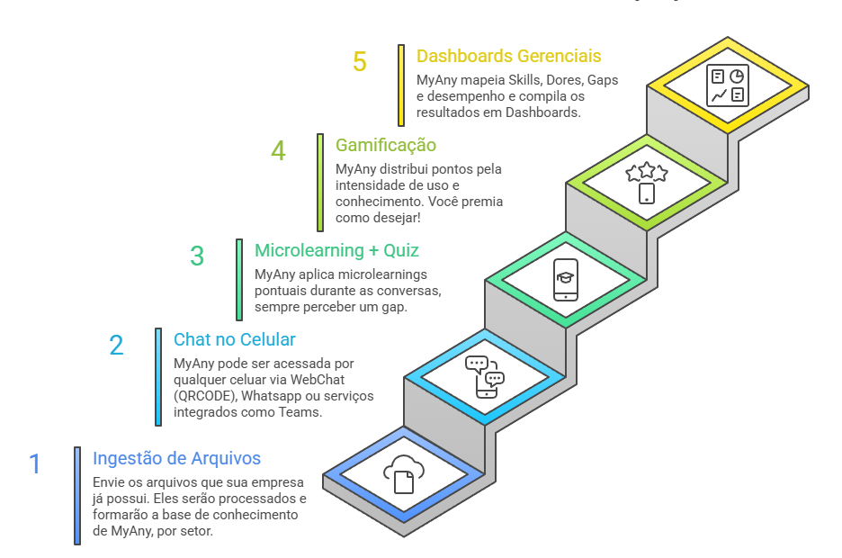 Infográfico - Como o MyAny funciona